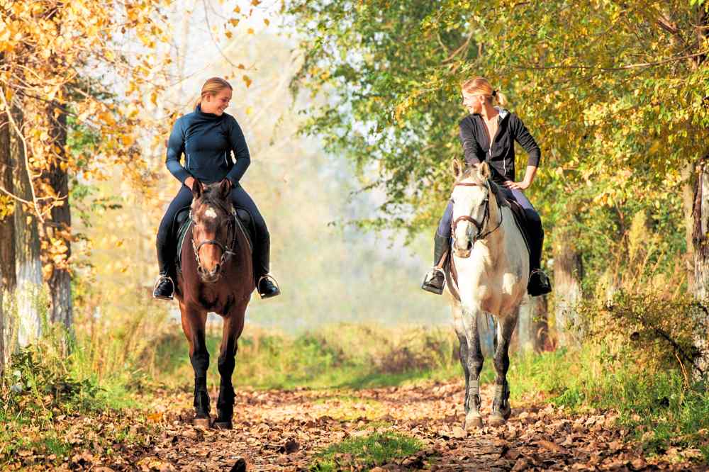 Sortie à Cheval