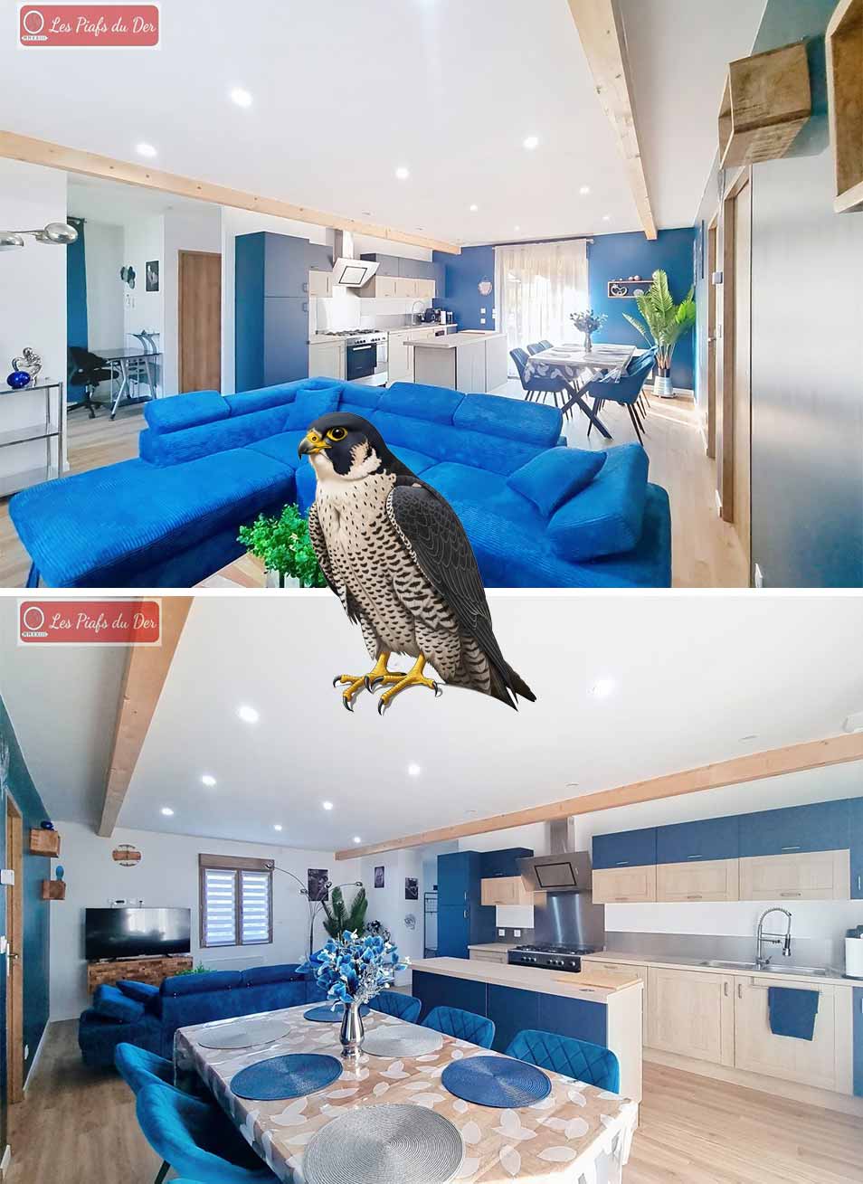 Le Gîte Le Faucon Pelerin