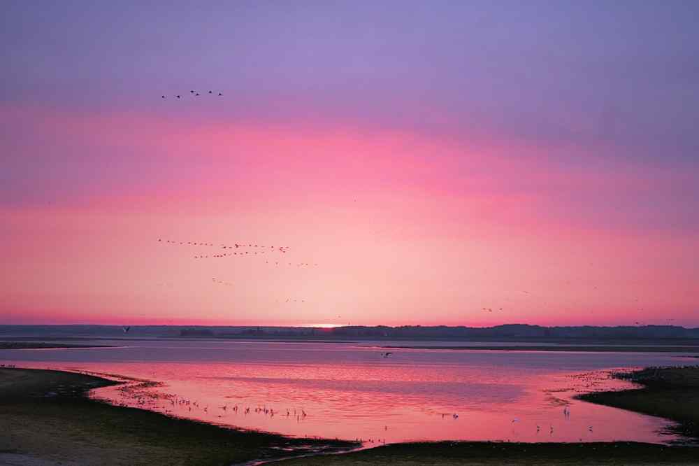 Le Lac du Der